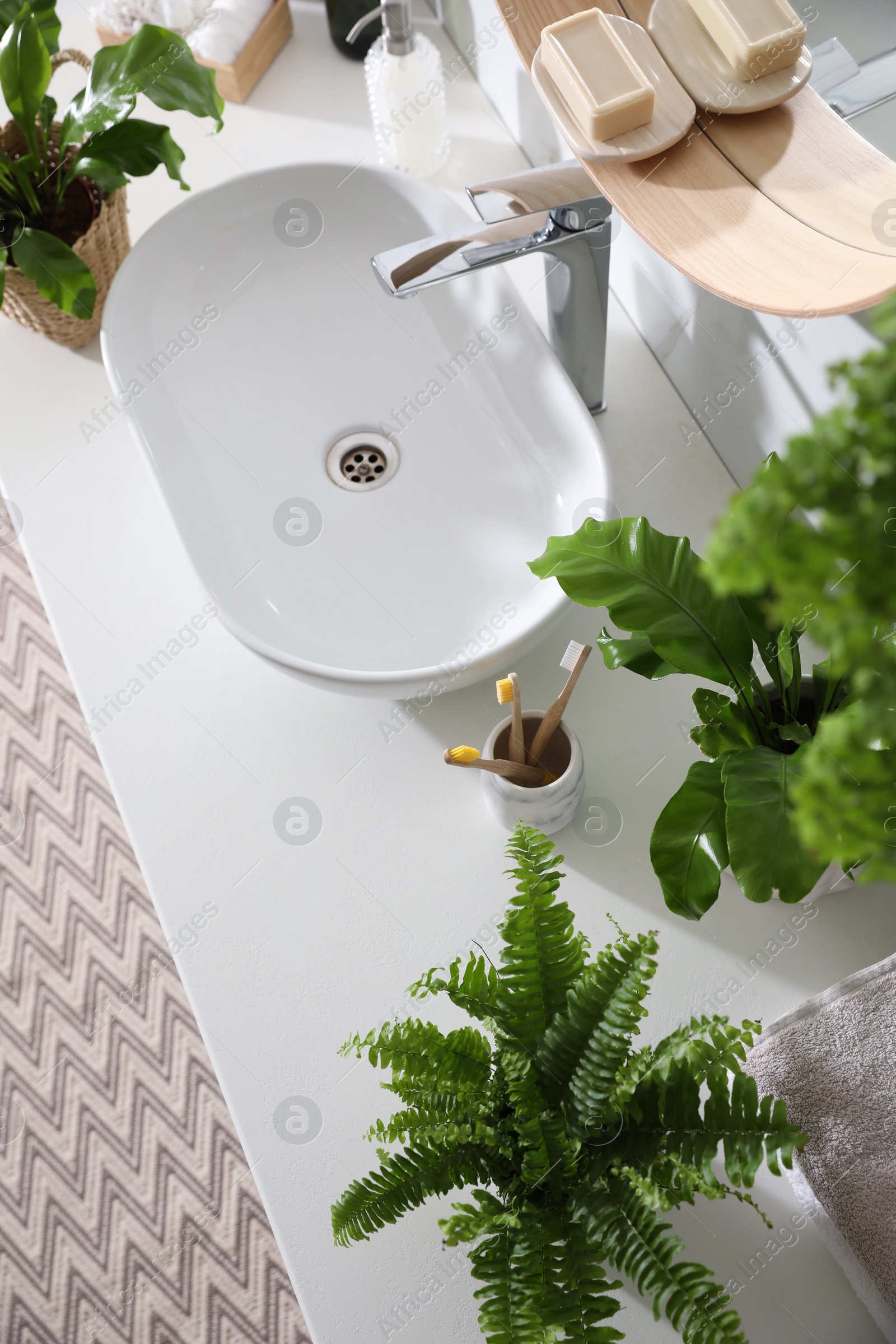 Photo of Beautiful green ferns and toiletries on countertop in bathroom, above view