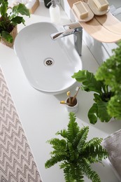 Photo of Beautiful green ferns and toiletries on countertop in bathroom, above view