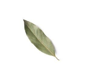 One aromatic bay leaf on white background, top view