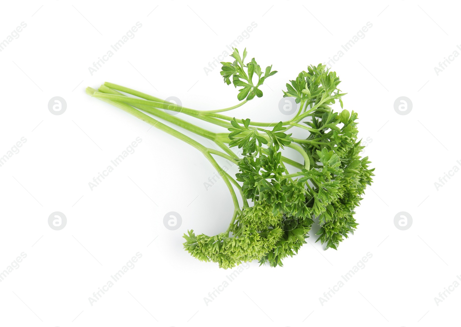 Photo of Fresh green organic parsley on white background