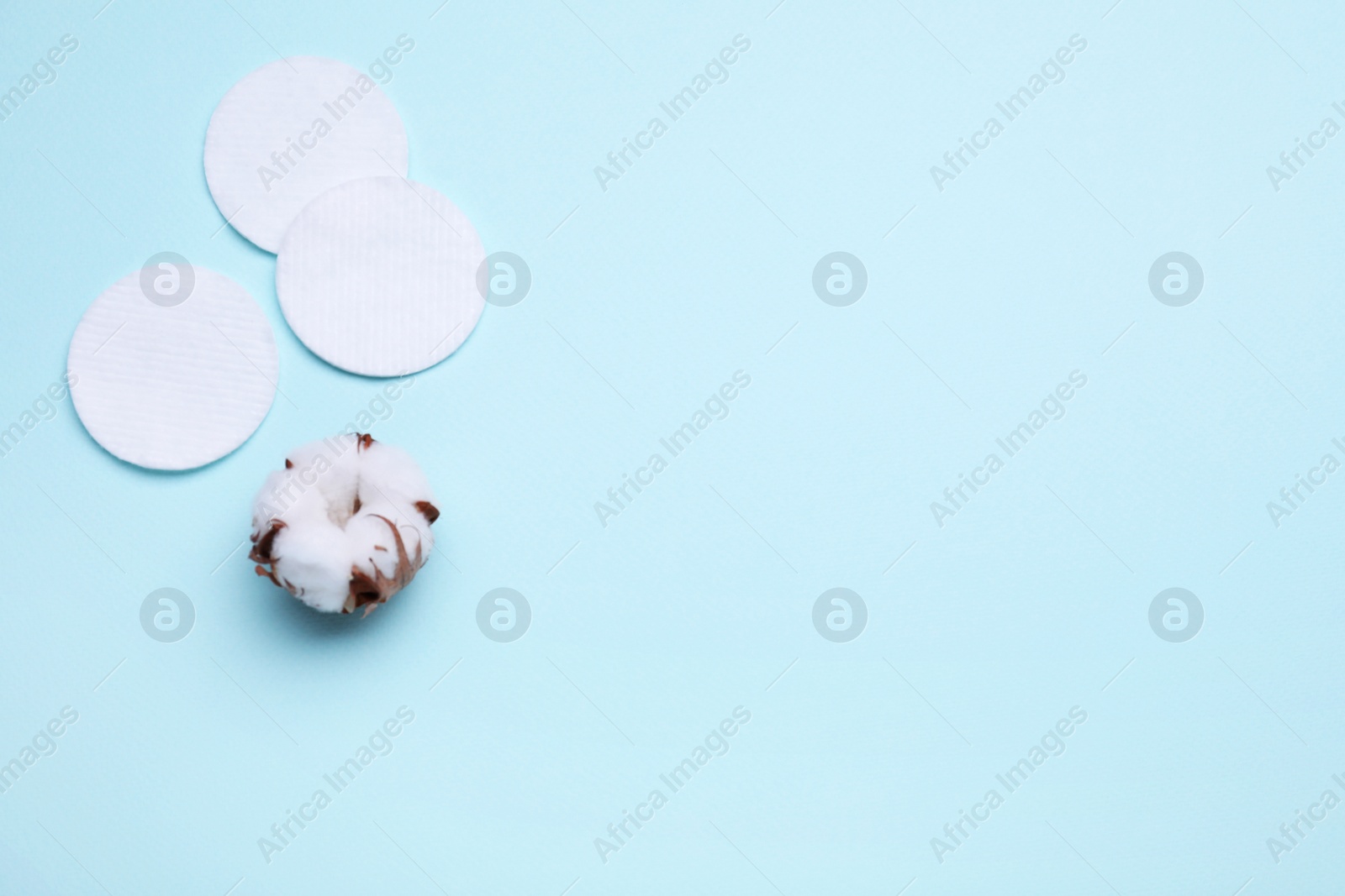 Photo of Cotton pads and flower on light blue background, flat lay. Space for text