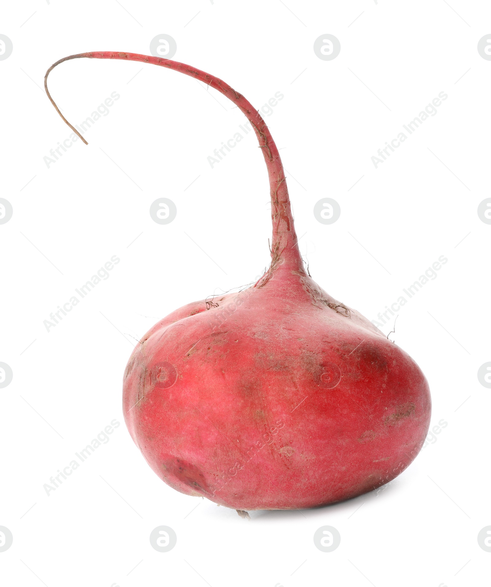 Photo of Delicious fresh ripe radish isolated on white