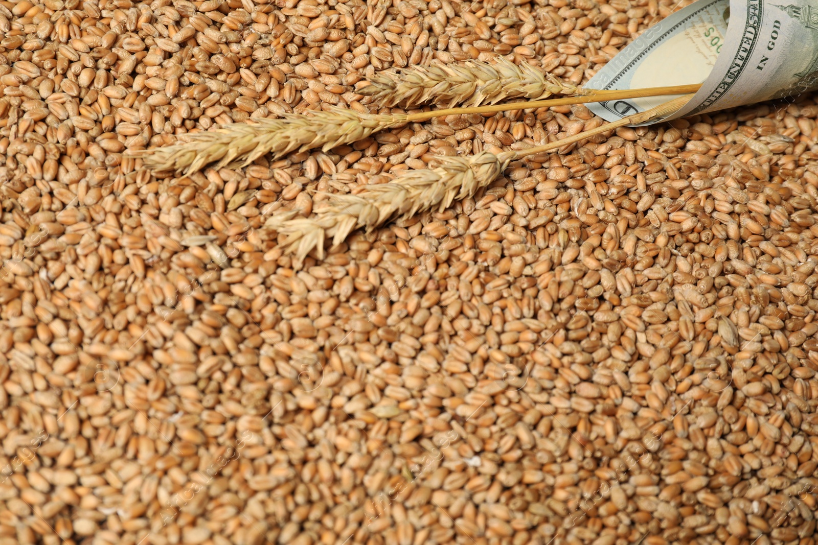 Photo of Dollar banknote and wheat ears on grains, closeup. Agricultural business