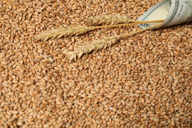 Dollar banknote and wheat ears on grains, closeup. Agricultural business