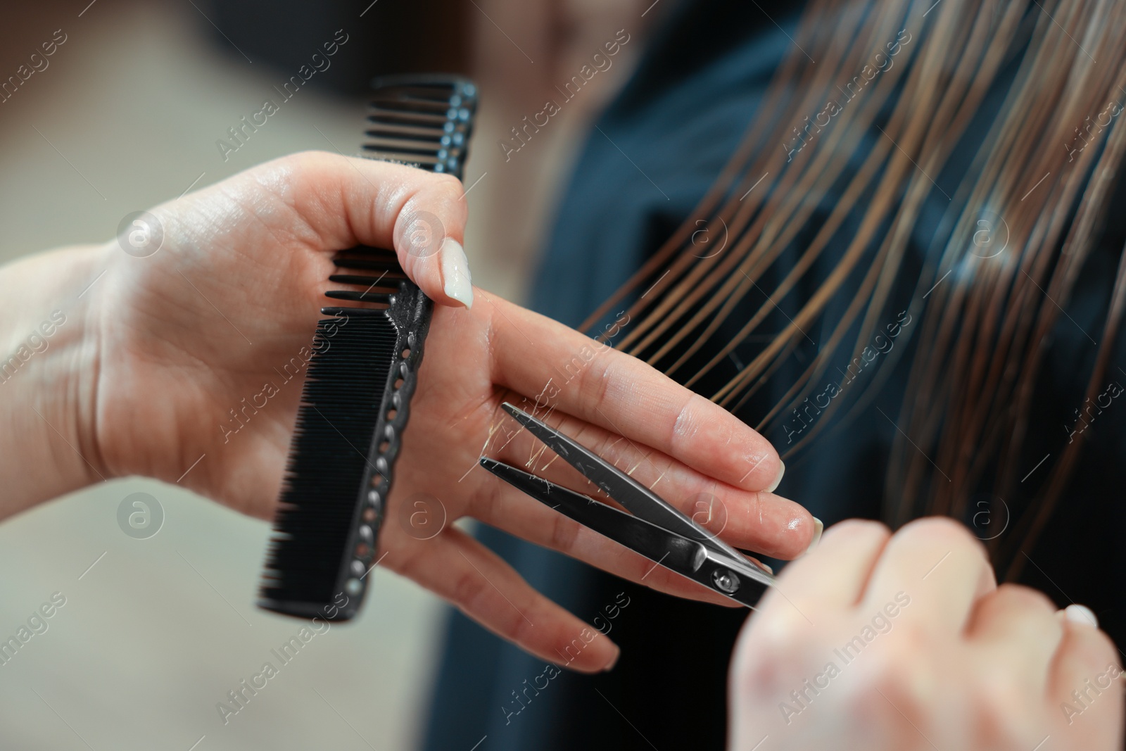 Photo of Professional hairdresser cutting girl's hair in beauty salon, closeup