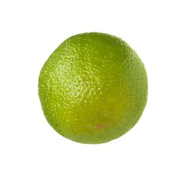 Photo of Citrus fruit. One fresh ripe lime isolated on white