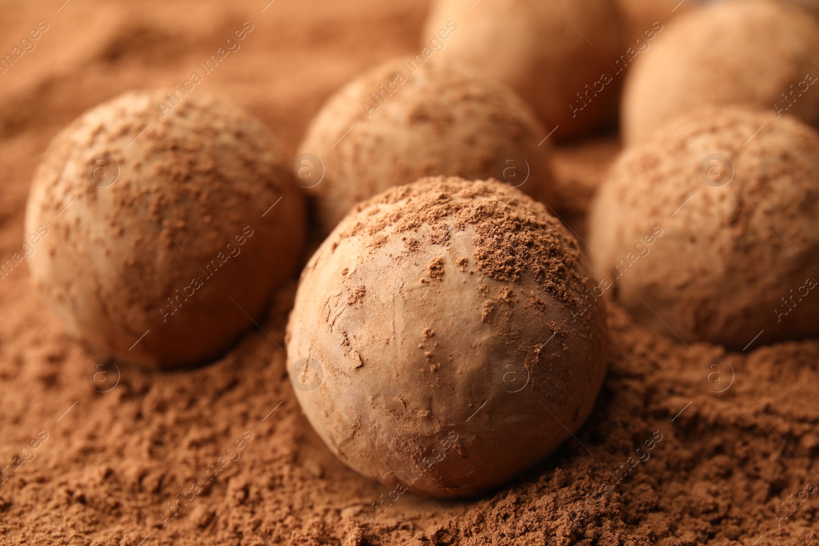 Photo of Tasty chocolate truffles on cocoa powder, closeup
