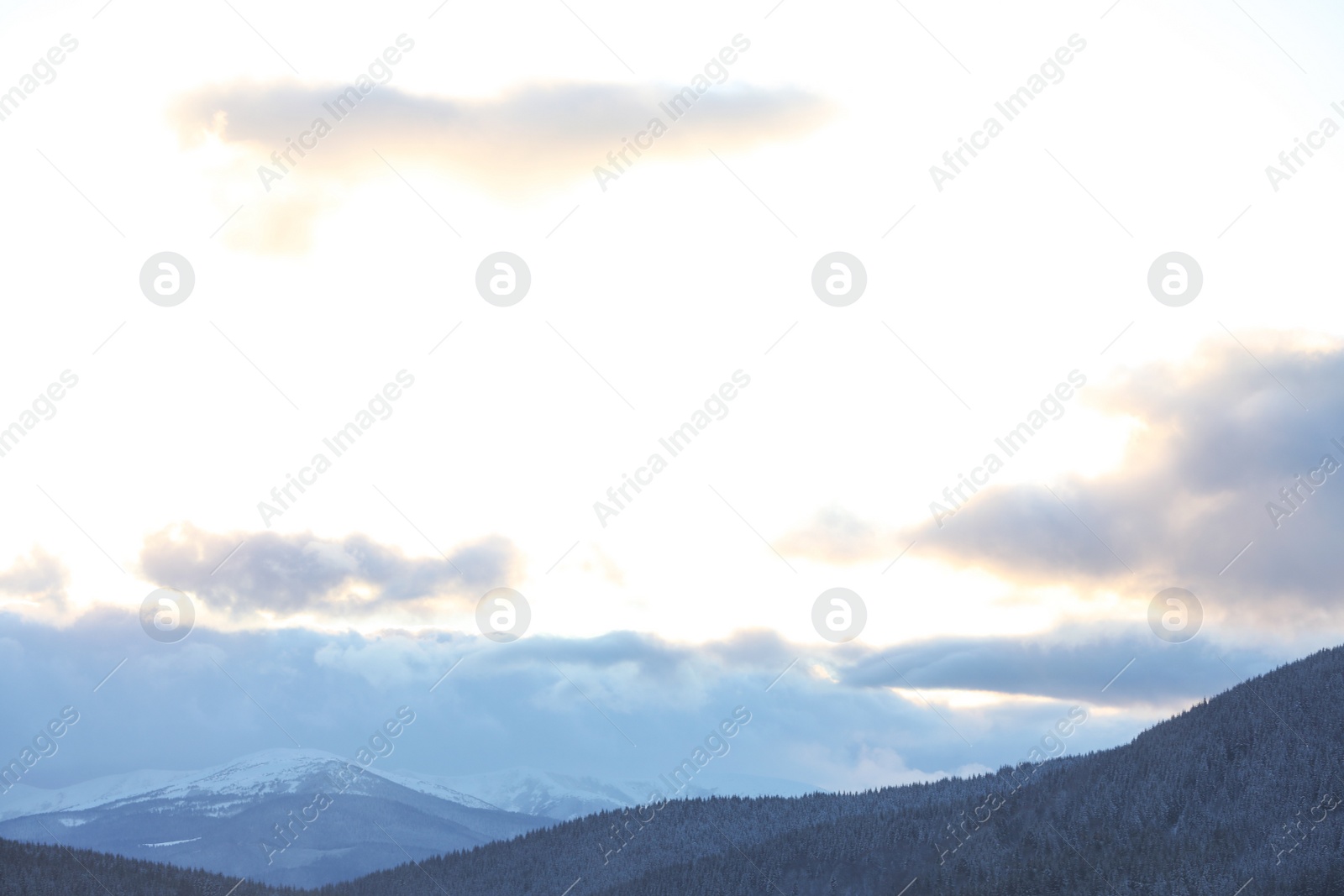 Photo of Beautiful mountain landscape with forest in winter
