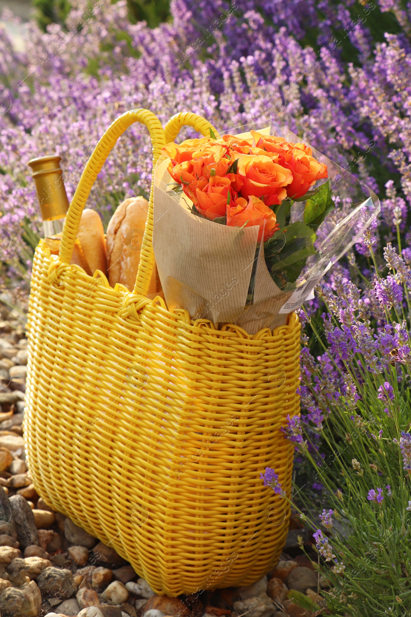 Photo of Yellow wicker bag with beautiful roses, bottle of wine and baguettes near lavender flowers outdoors