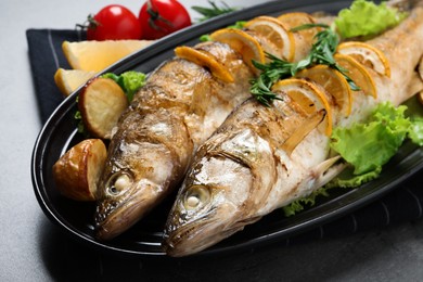 Photo of Tasty homemade roasted pike perches with garnish on grey table, closeup. River fish