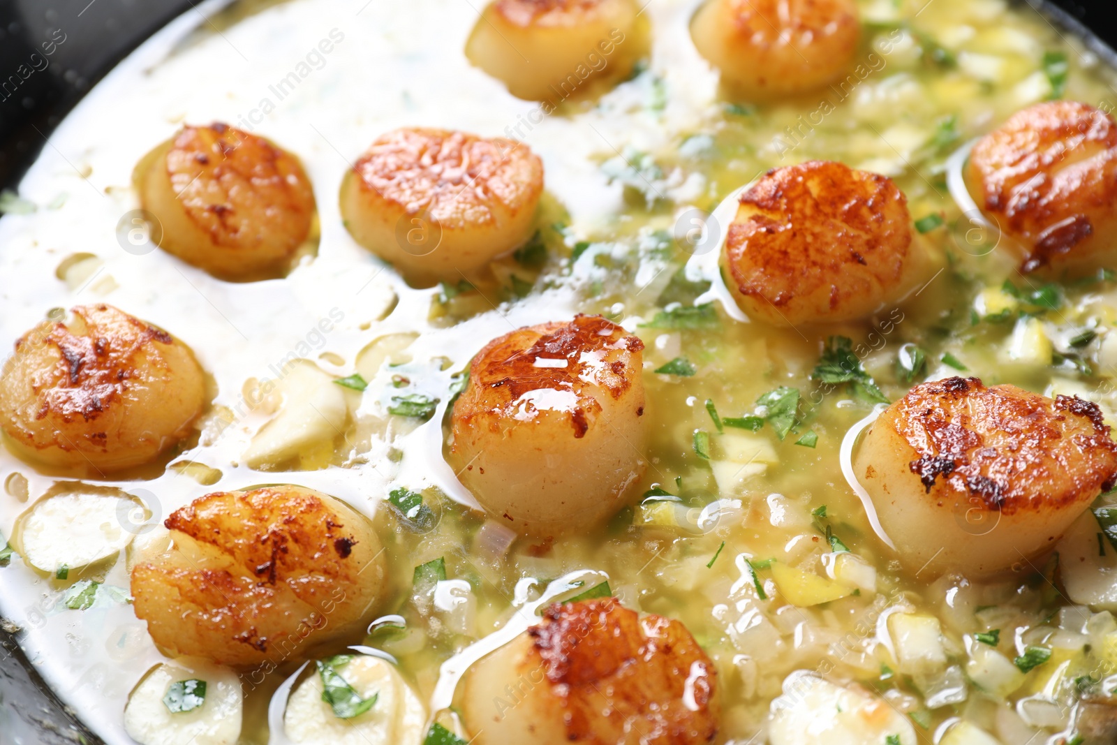 Photo of Fried scallops with sauce in dish, closeup