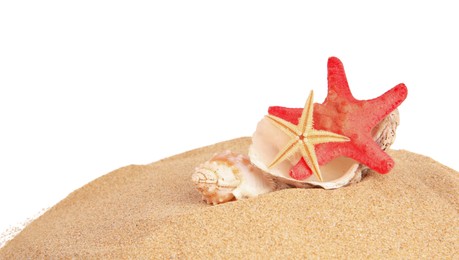 Sand with many beautiful sea stars and seashells isolated on white, space for text