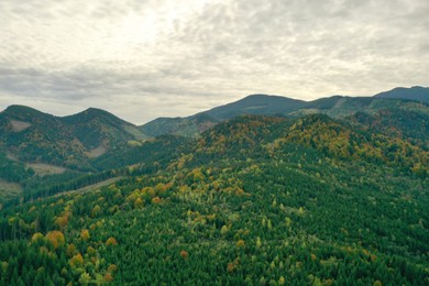 Aerial view of beautiful mountain forest on autumn day