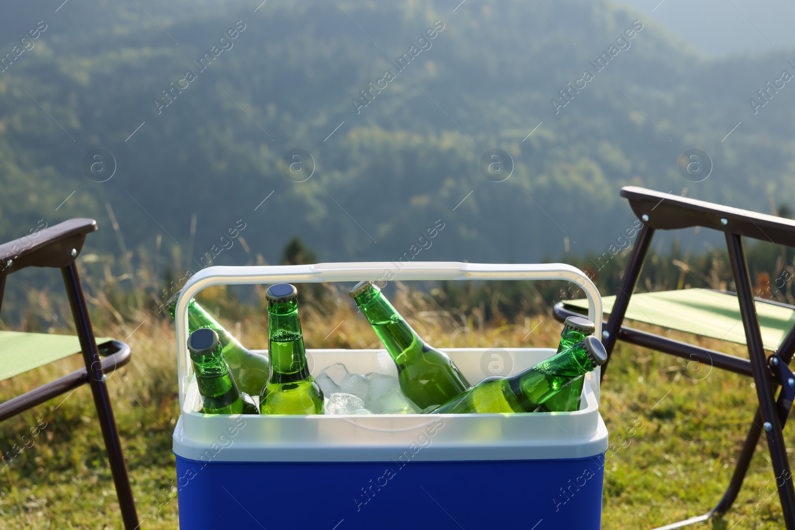 Photo of Chairs and cool box with bottles of beer in nature