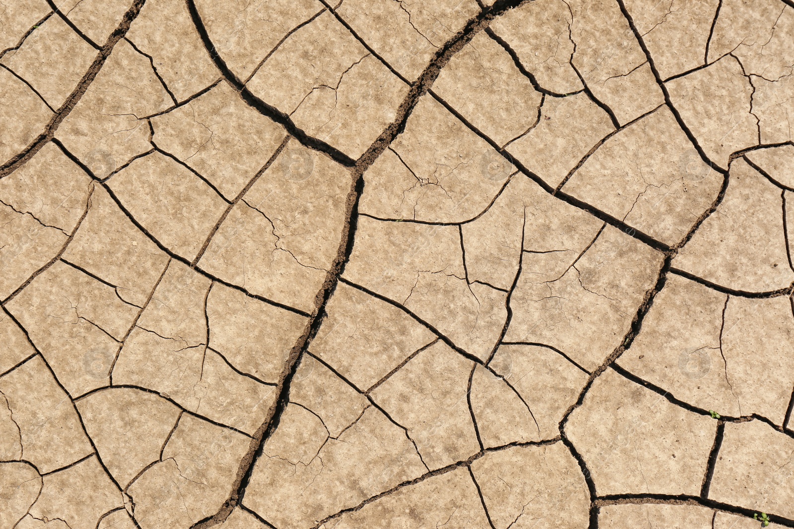 Photo of Cracked ground surface as background, top view