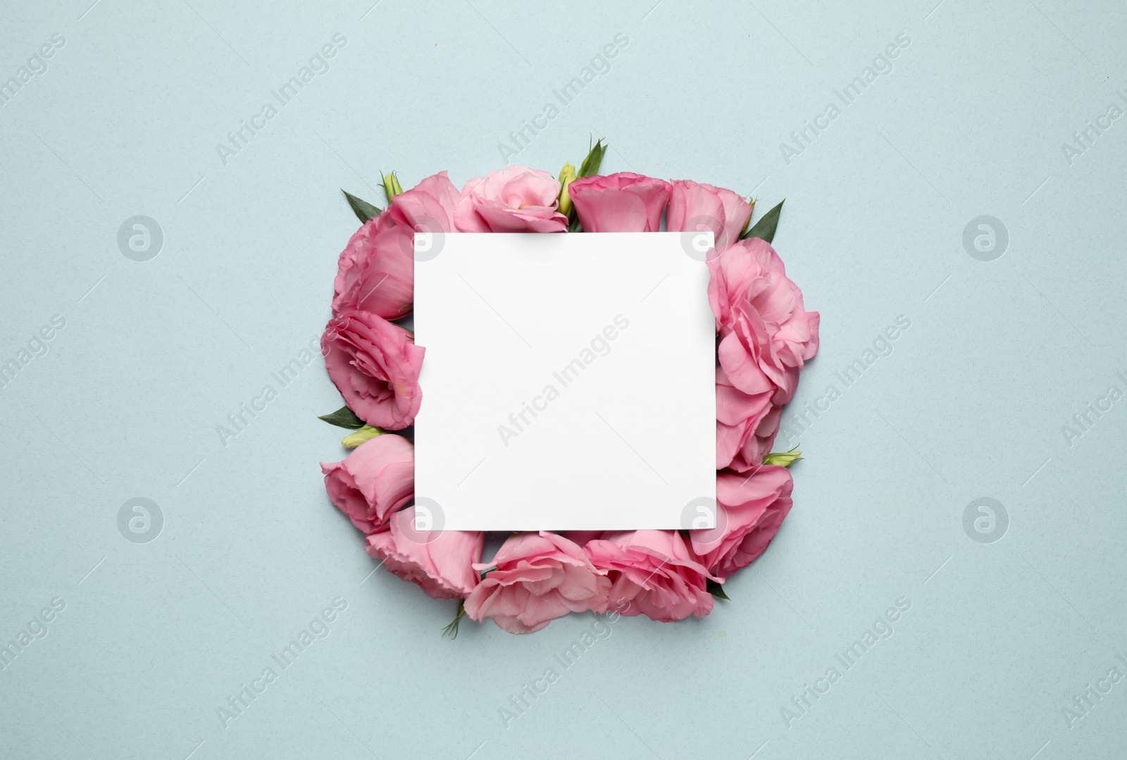 Photo of Beautiful pink Eustoma flowers and card with space for text on light background, flat lay