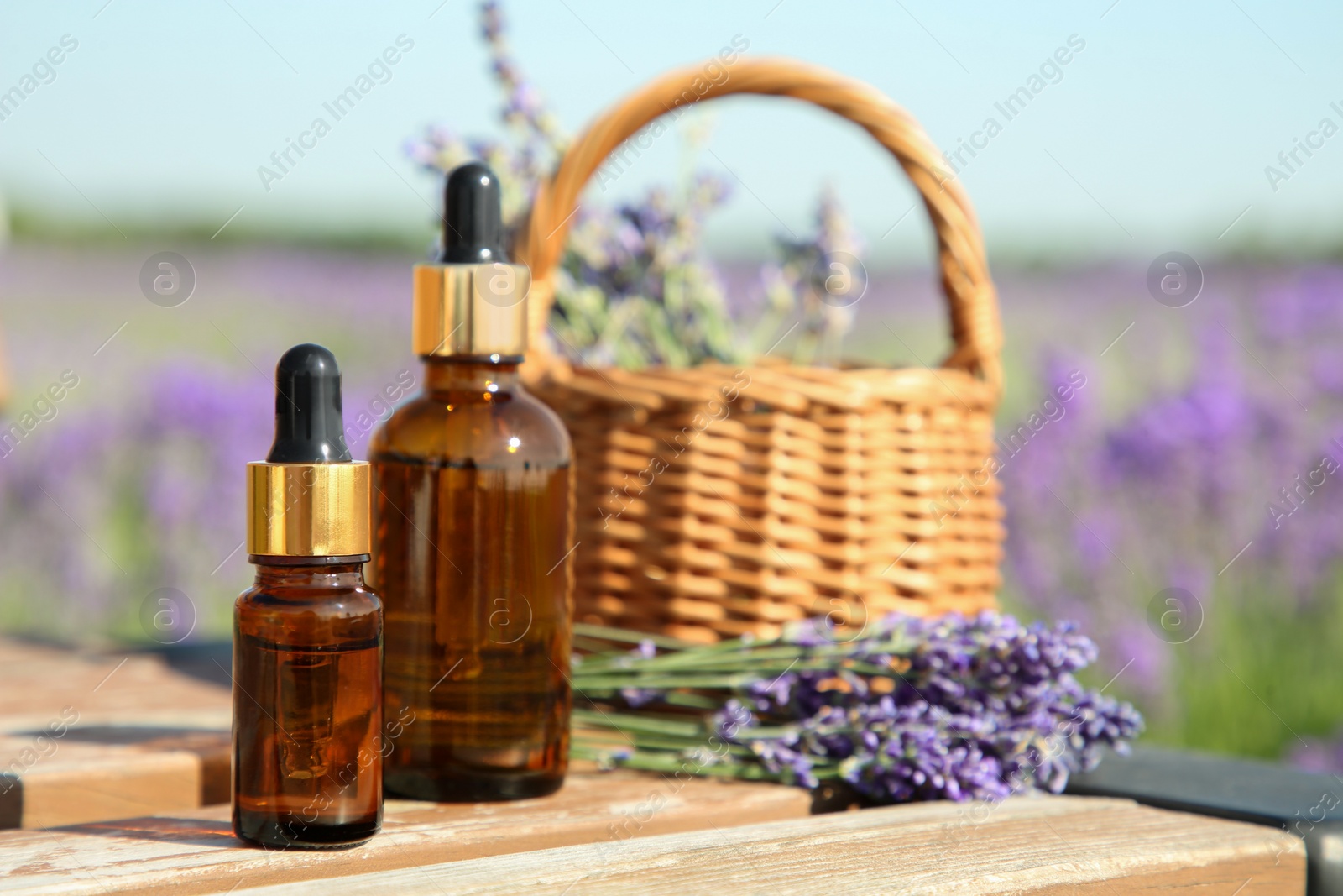 Photo of Bottles of essential oil and wicker bag with lavender flowers on wooden table in field outdoors, space for text