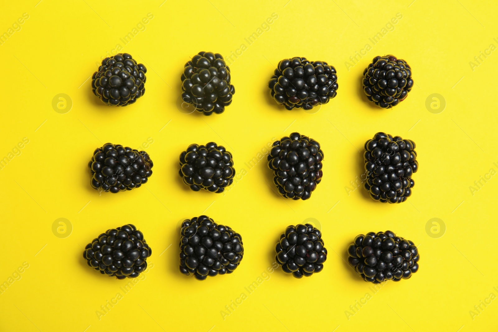 Photo of Flat lay composition with ripe blackberries on color background