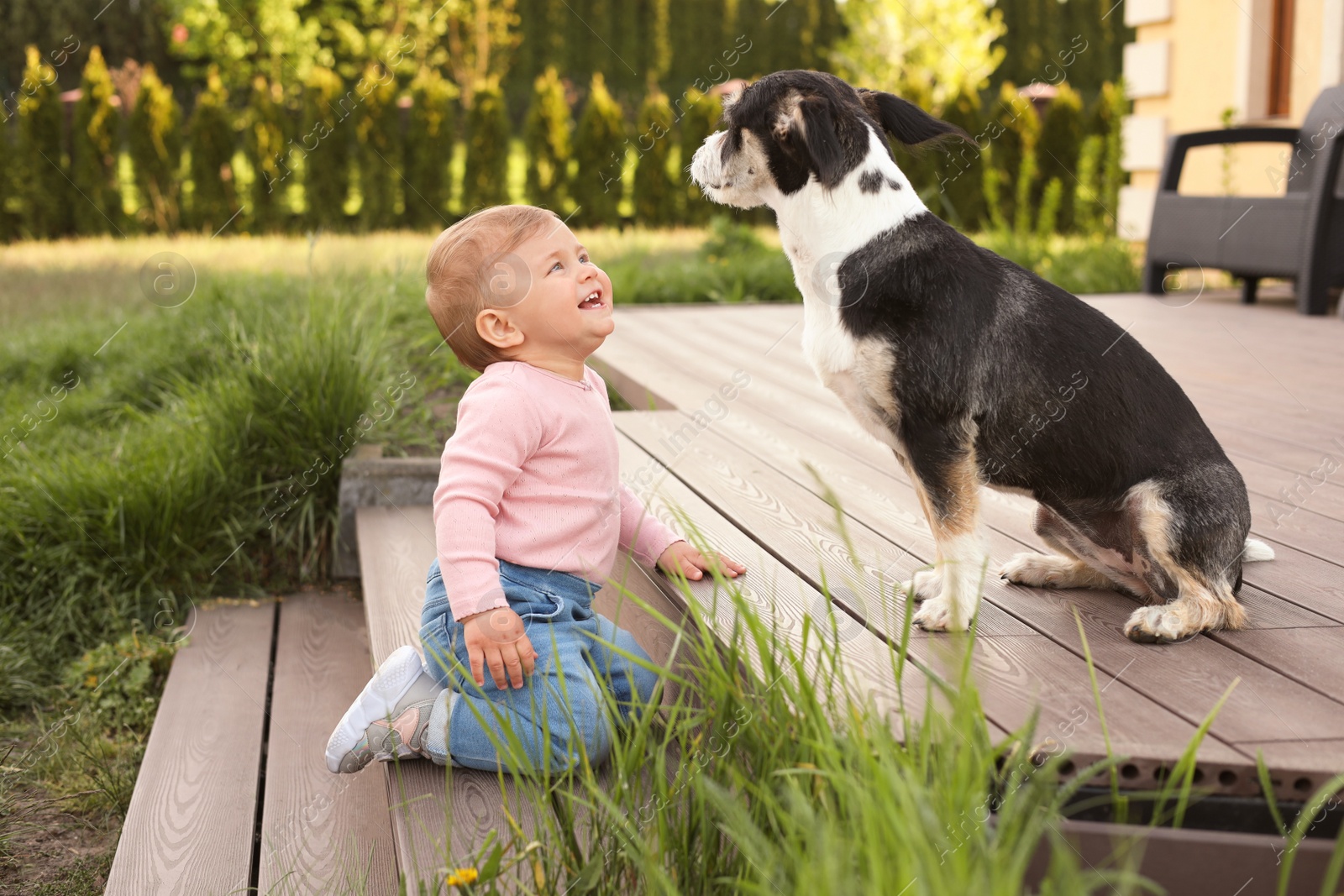 Photo of Adorable baby and furry little dog on wooden porch outdoors