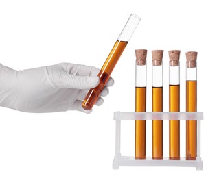 Photo of Scientist holding test tube with brown liquid on white background, closeup