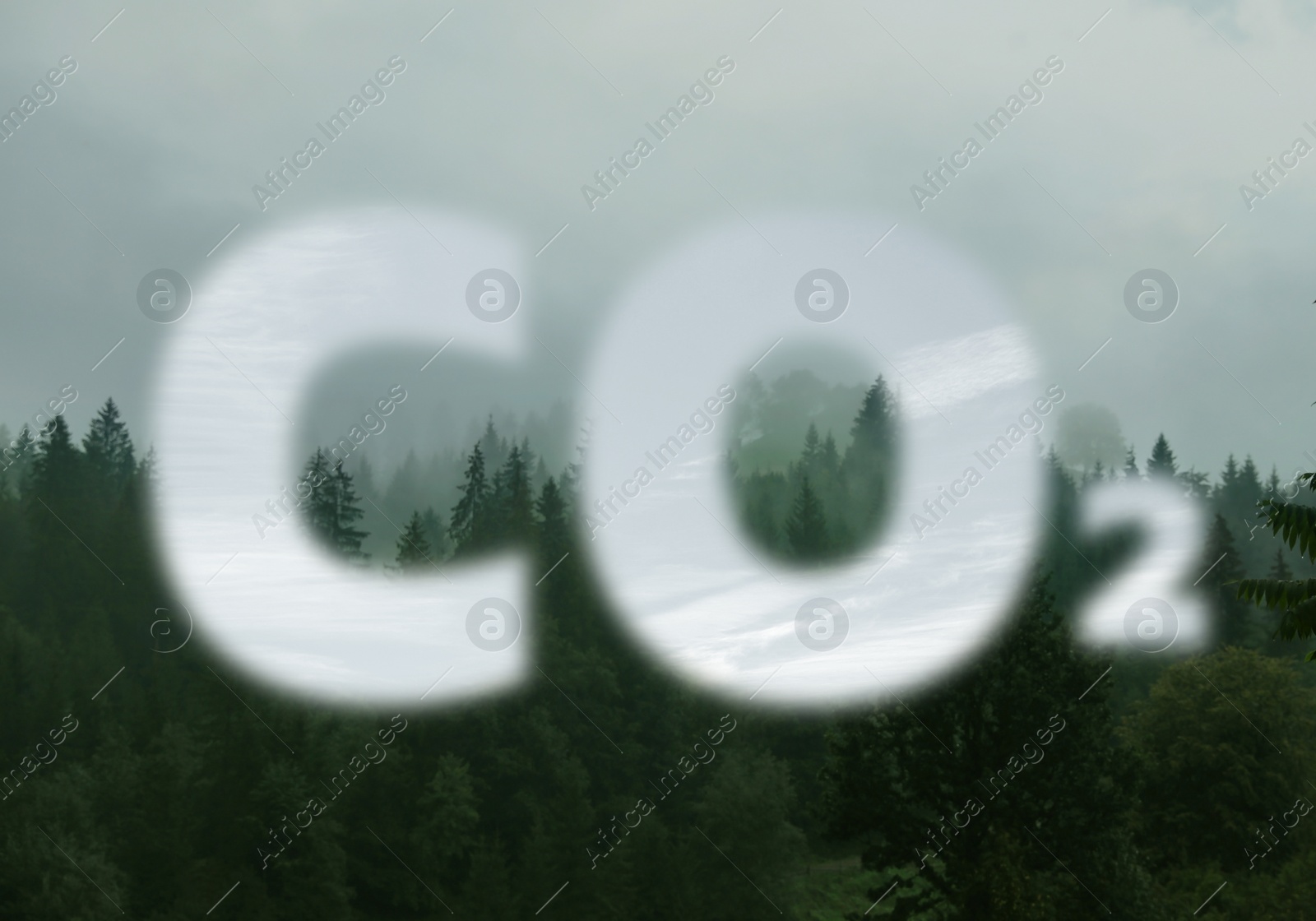 Image of Concept of clear air. CO2 inscription and beautiful forest on background