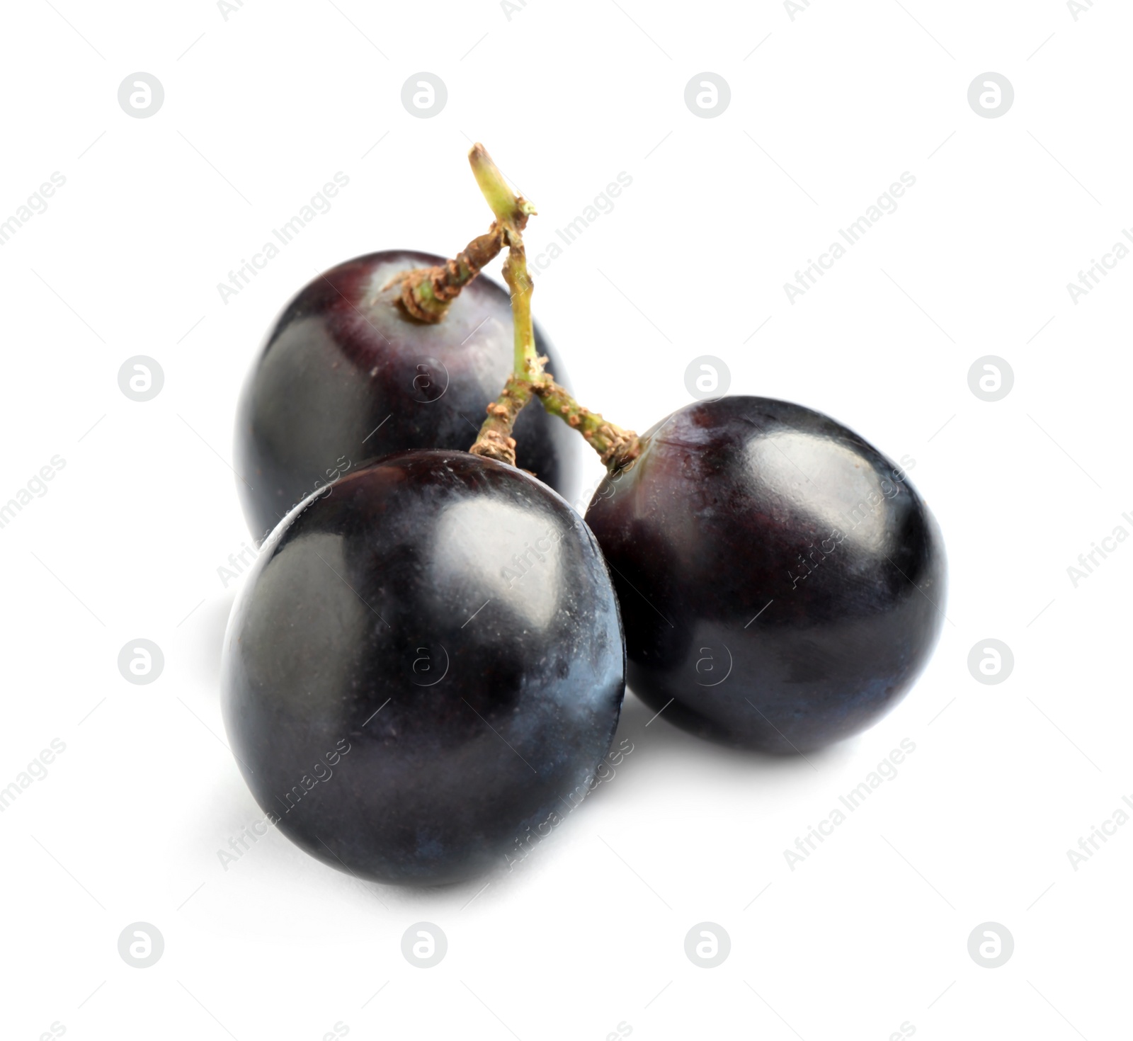 Photo of Fresh ripe juicy black grapes isolated on white