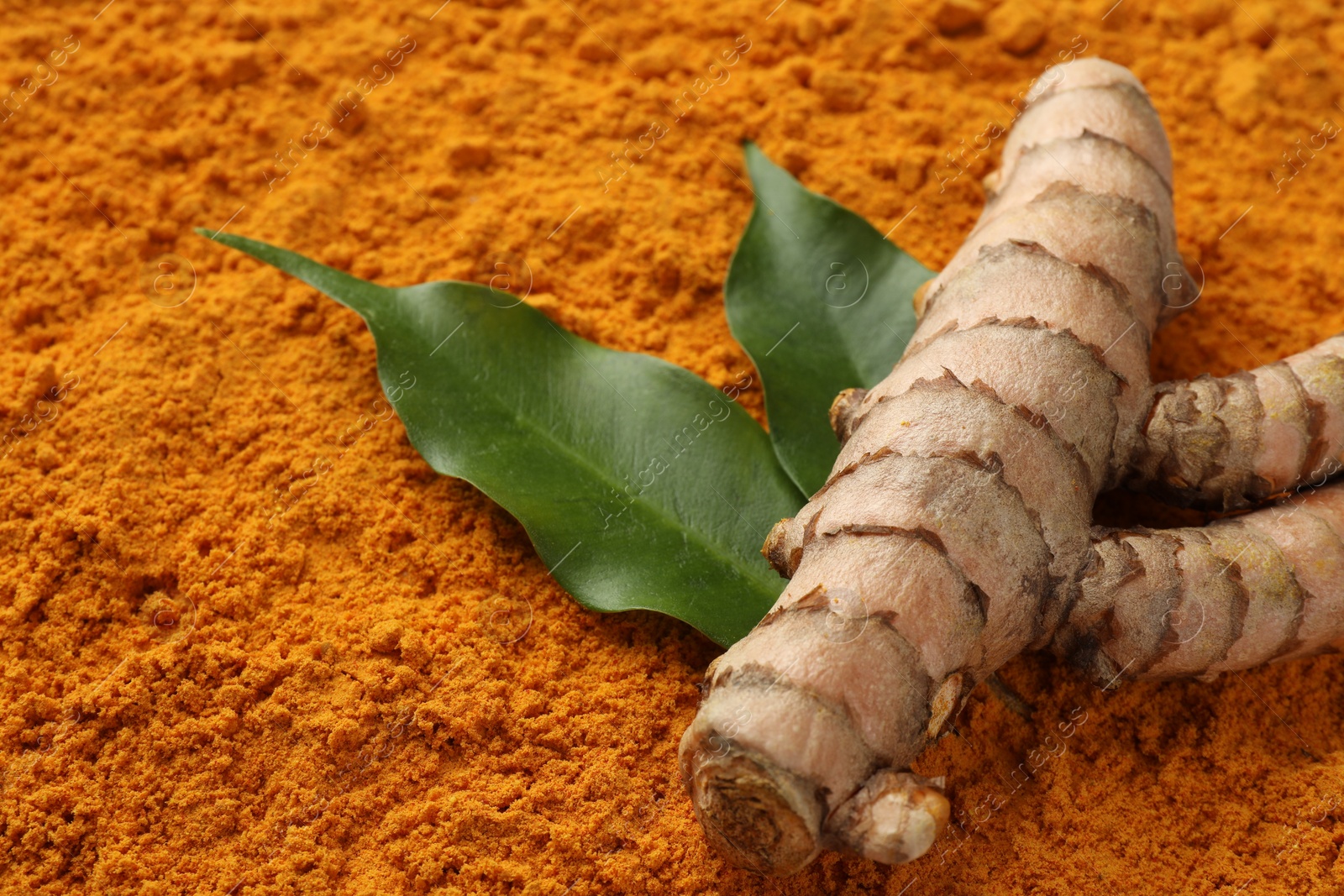 Photo of Raw root and leaves on aromatic turmeric powder, closeup. Space for text