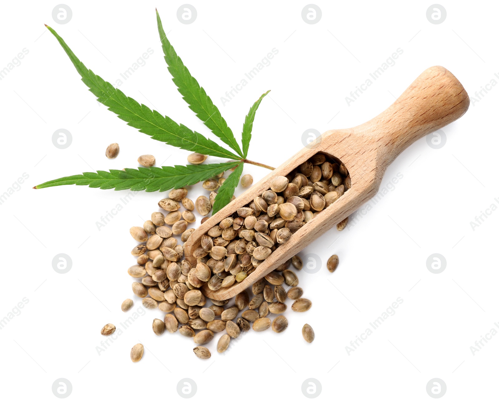 Photo of Wooden scoop with hemp seeds and leaf on white background, top view