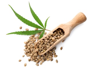 Photo of Wooden scoop with hemp seeds and leaf on white background, top view