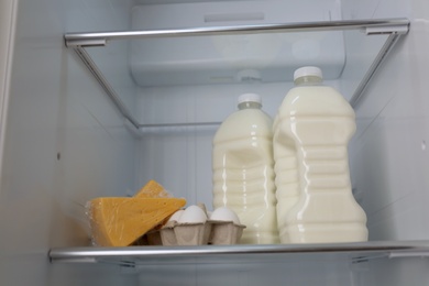 Gallons of milk, eggs and cheese in refrigerator, closeup