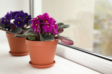 Photo of Beautiful potted violets on white wooden window sill, space for text. Delicate house plants