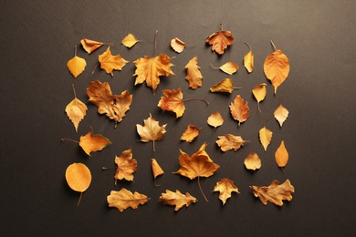 Photo of Flat lay composition with autumn leaves on dark background