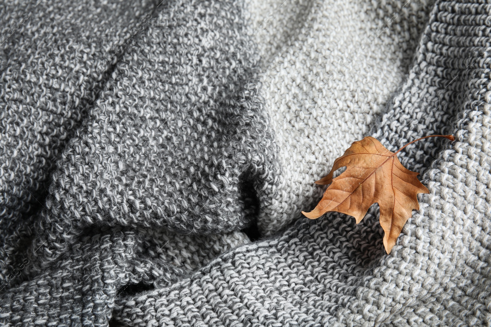 Photo of Dry leaf on grey knitted plaid, closeup