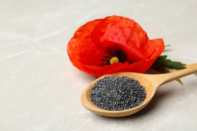 Photo of Spoon of poppy seeds and flower on light table, space for text
