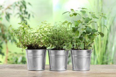 Photo of Different aromatic potted herbs on wooden table