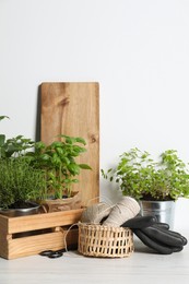 Photo of Different aromatic potted herbs, treads, scissors and gloves on white wooden table
