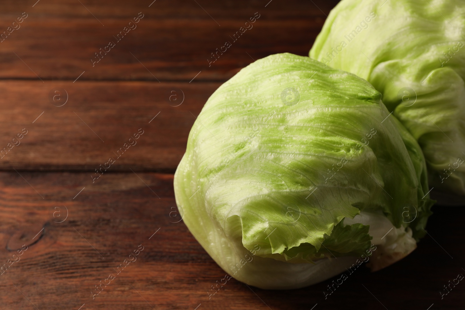 Photo of Fresh green iceberg lettuce heads on wooden table, closeup. Space for text