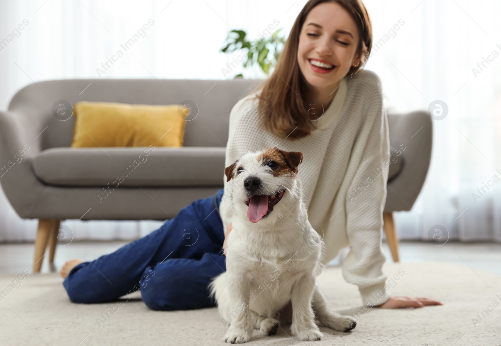 Photo of Young woman with her cute Jack Russell Terrier at home. Lovely pet