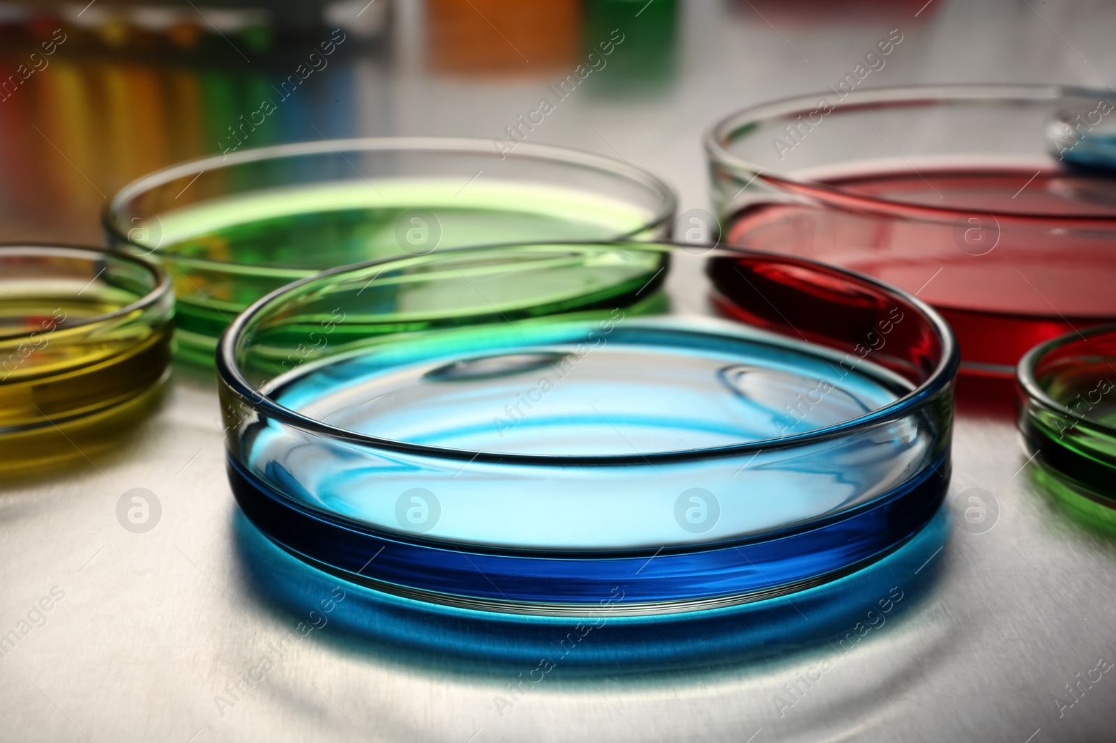 Photo of Petri dishes with colorful samples on table, closeup