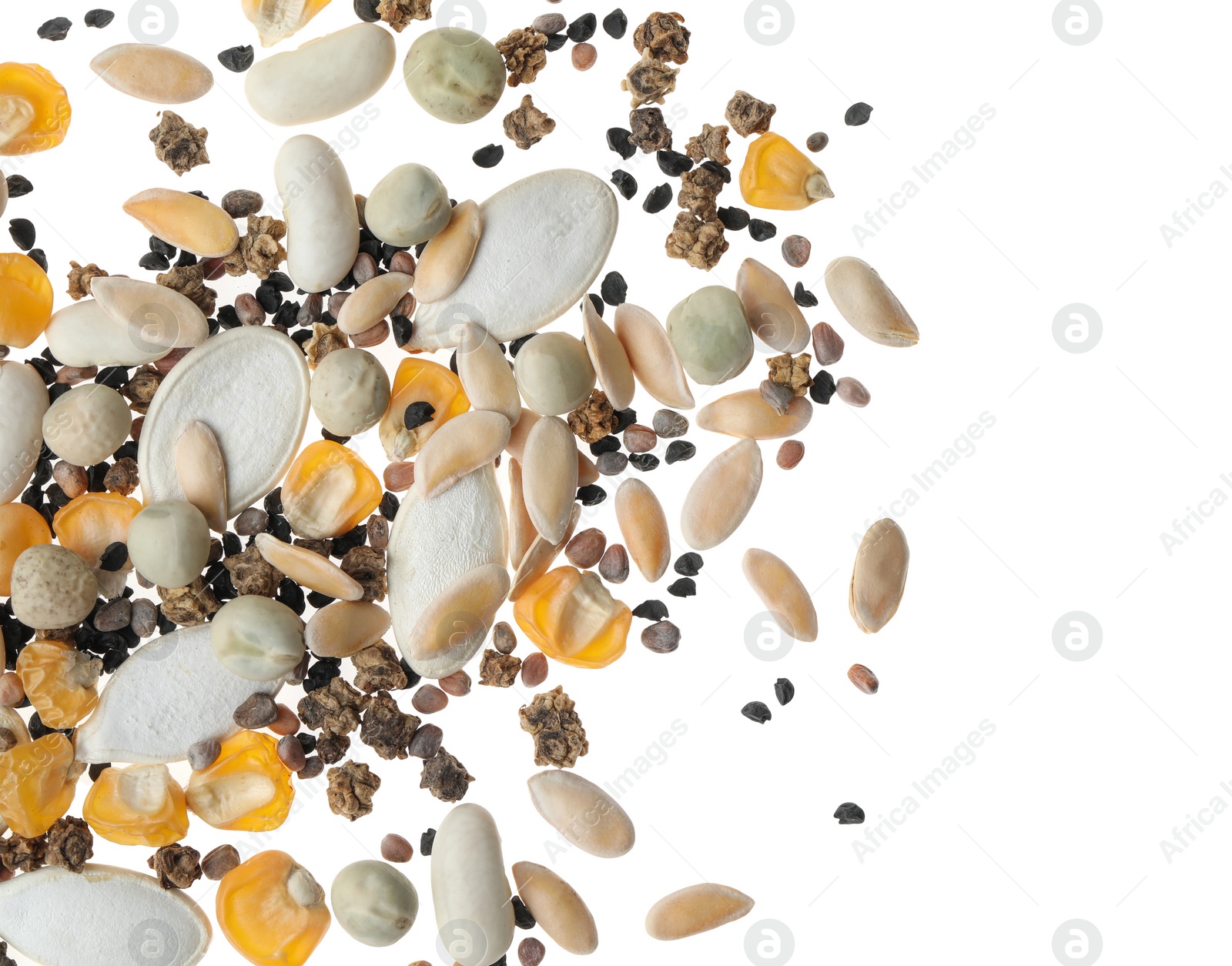 Photo of Mix of vegetable seeds on white background, top view