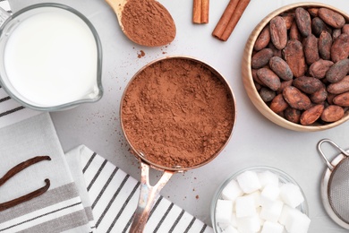 Flat lay composition with cocoa powder on light table