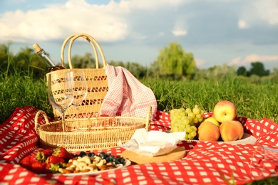 Photo of Picnic blanket with delicious food and wine on green grass