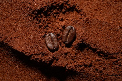 Photo of Roasted beans on ground coffee, flat lay