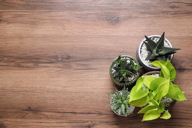 Beautiful Aloe, Haworthia and Scindapsus in pots on wooden table, flat lay with space for text. Different house plants