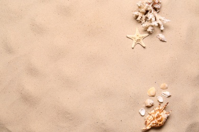 Photo of Flat lay composition with seashells on sand beach, space for text. Summer vacation