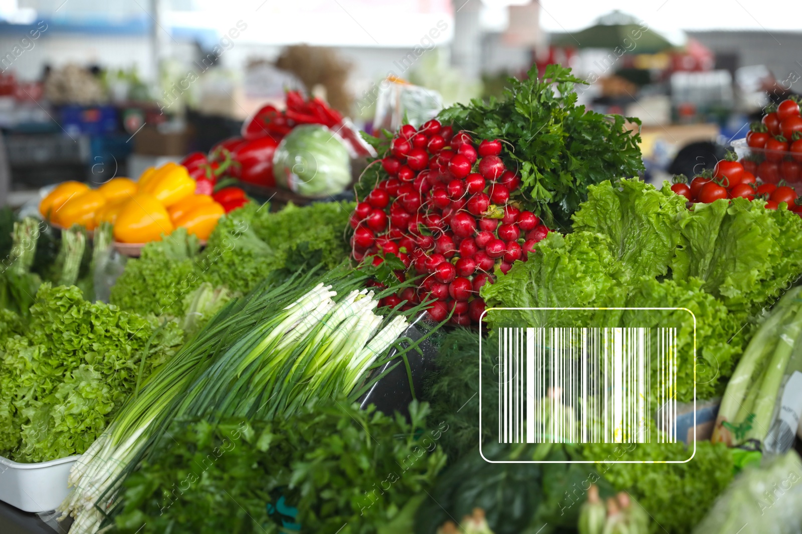 Image of Barcode and fresh herbs on counter at wholesale market