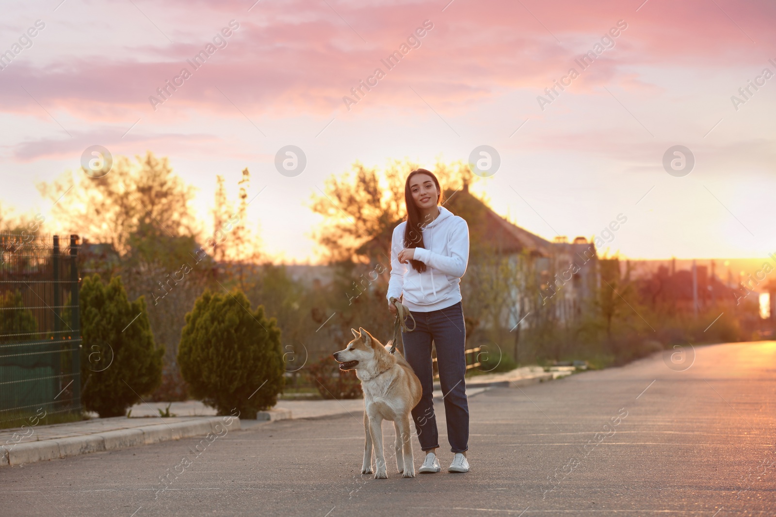 Photo of Young woman walking her adorable Akita Inu dog outdoors