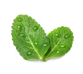 Wet leaves of fresh mint isolated on white