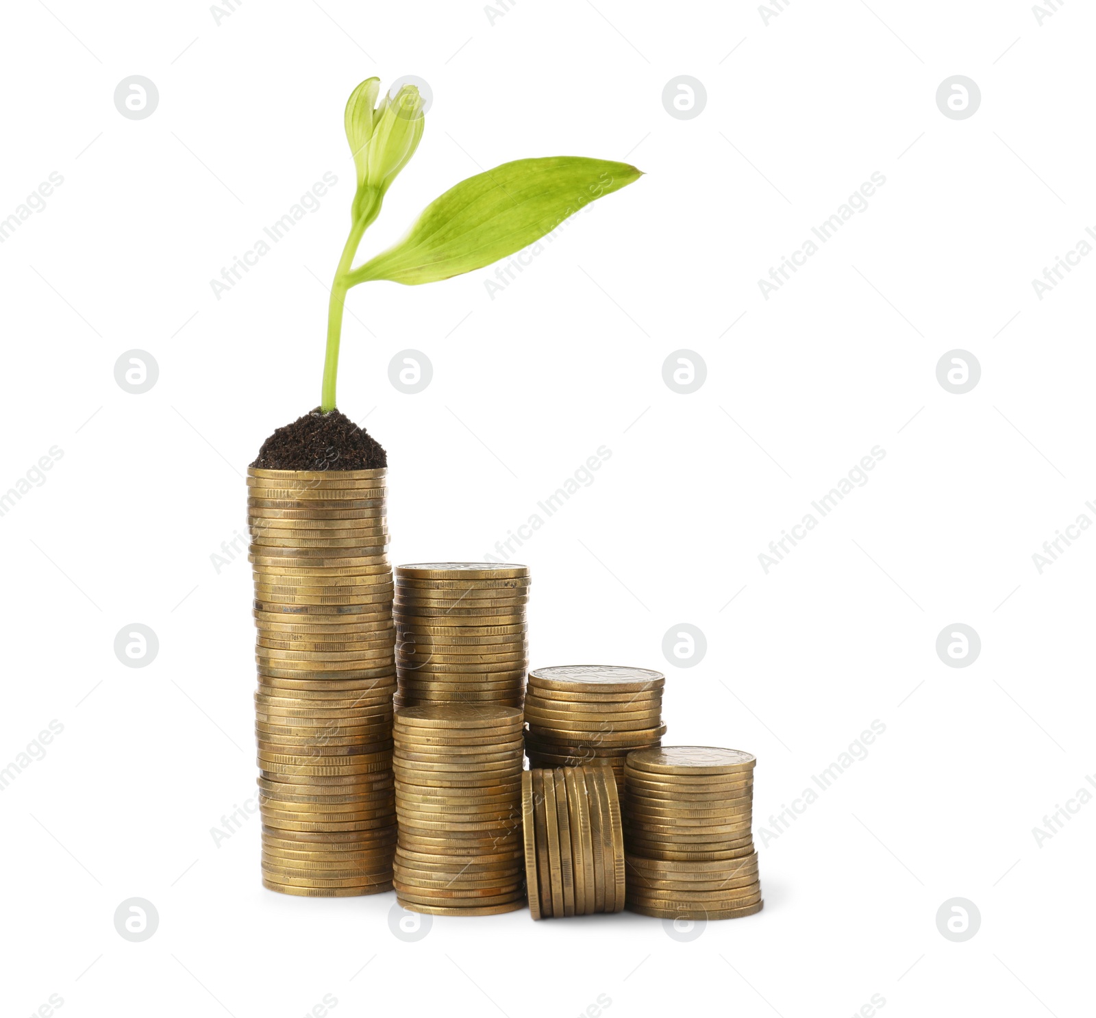 Photo of Stacks of coins and green plant on white background. Investment concept