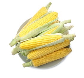 Corncobs with green husks isolated on white, top view